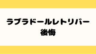 ラブラドールレトリバー 後悔