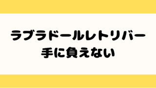 ラブラドールレトリバー 手に負えない