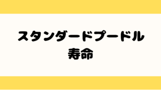 スタンダードプードルの寿命を延ばす5つの秘訣!病気・死因・年齢換算も解説 スタンダードプードル 寿命